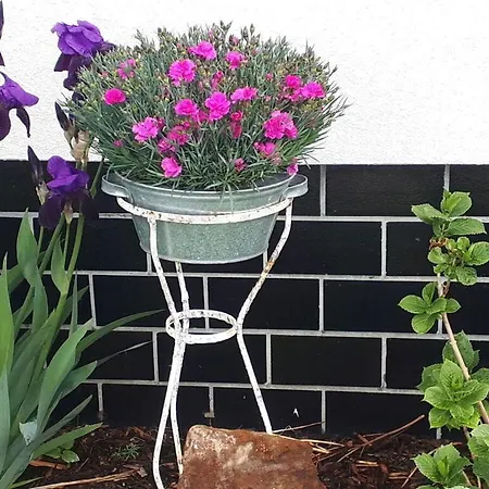 Сasa de vacaciones Eldeufer Ii