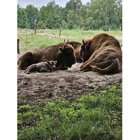 Сasa de vacaciones Eldeufer Ii Plau am See