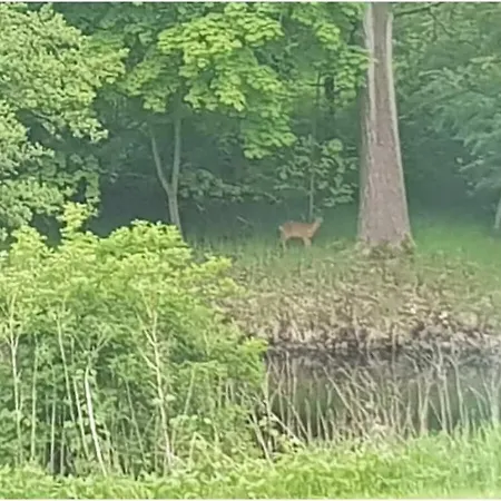 Eldeufer Ii Сasa de vacaciones Plau am See