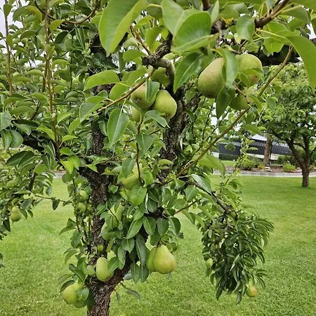 Сasa de vacaciones Eldeufer Ii Plau am See