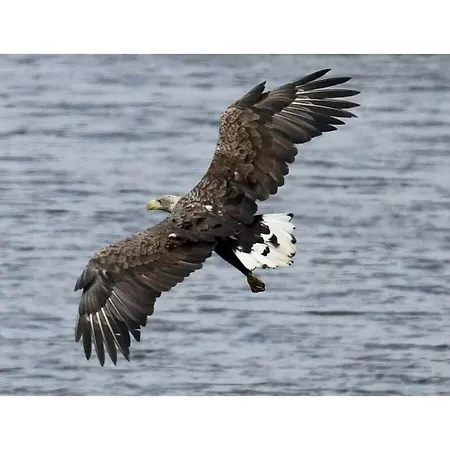 Eldeufer Ii Plau am See