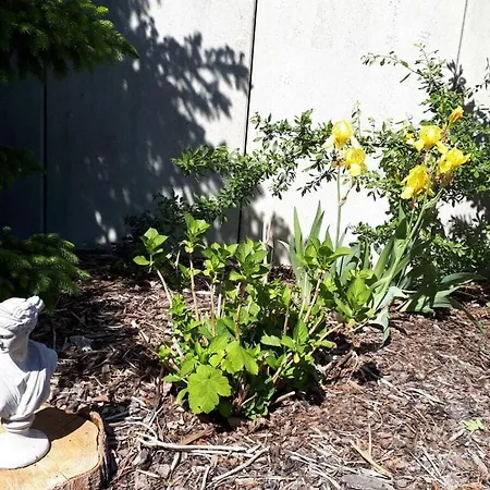 Eldeufer Ii Сasa de vacaciones Plau am See